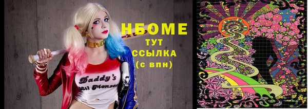 стафф Вязьма