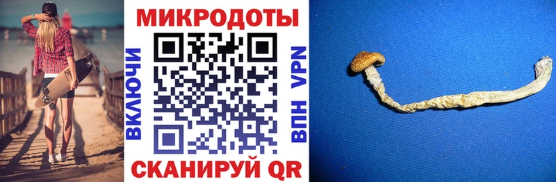 Галлюциногенные грибы прущие грибы  Очёр 